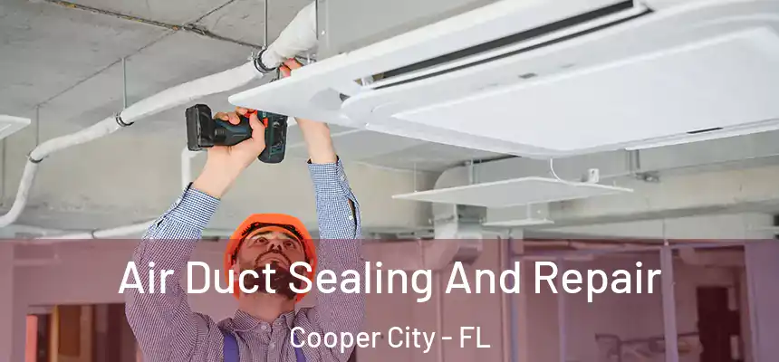 Air Duct Sealing And Repair Cooper City - FL