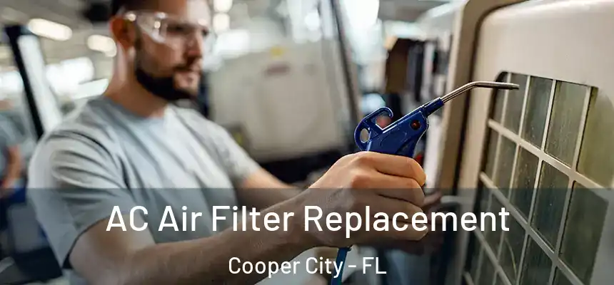  AC Air Filter Replacement Cooper City - FL