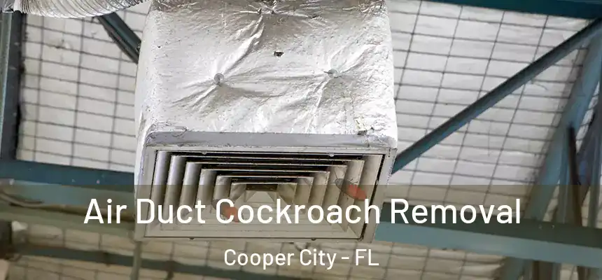  Air Duct Cockroach Removal Cooper City - FL