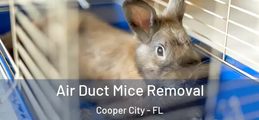  Air Duct Mice Removal Cooper City - FL