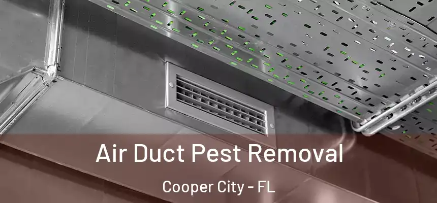  Air Duct Pest Removal Cooper City - FL