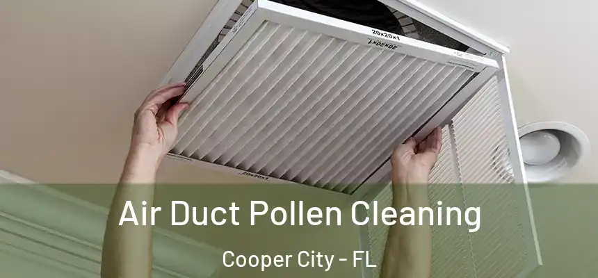  Air Duct Pollen Cleaning Cooper City - FL