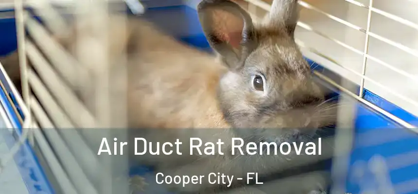  Air Duct Rat Removal Cooper City - FL
