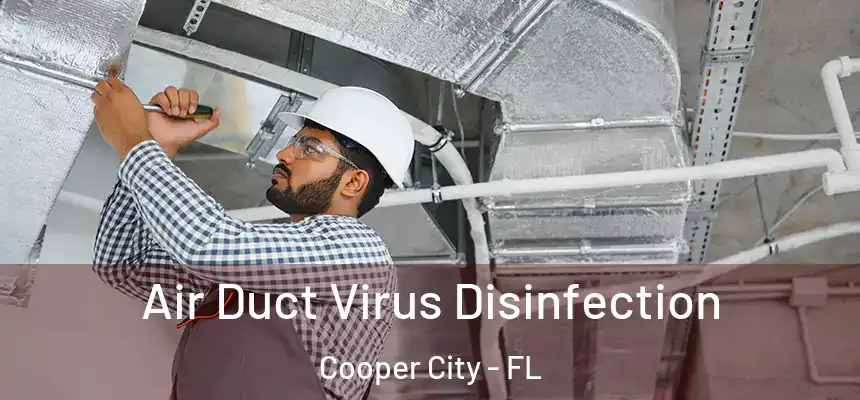 Air Duct Virus Disinfection Cooper City - FL