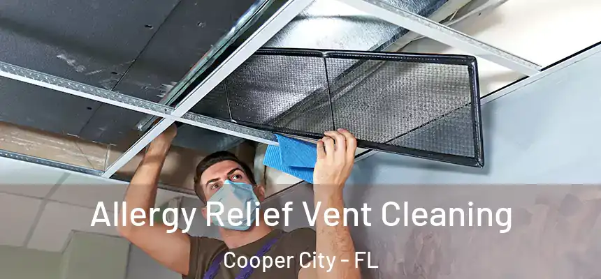 Allergy Relief Vent Cleaning Cooper City - FL