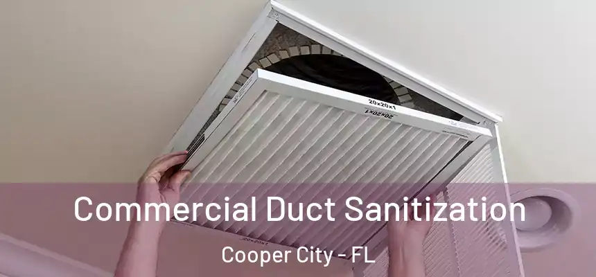 Commercial Duct Sanitization Cooper City - FL
