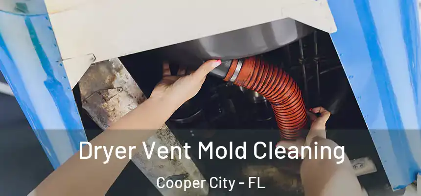 Dryer Vent Mold Cleaning Cooper City - FL