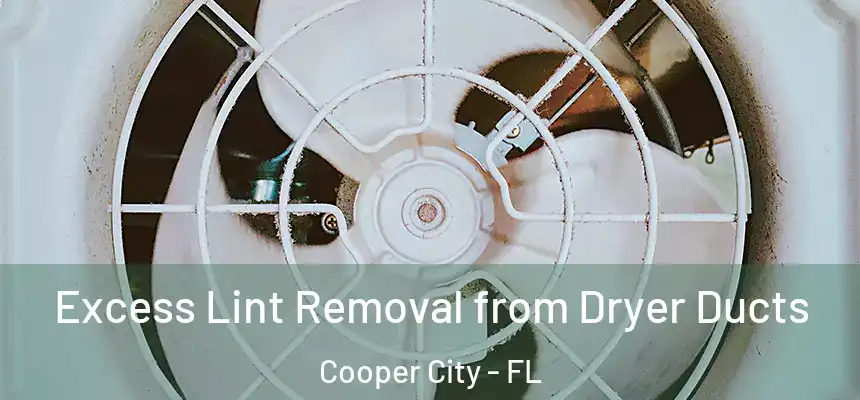  Excess Lint Removal from Dryer Ducts Cooper City - FL