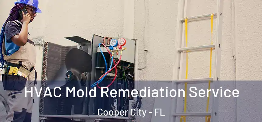  HVAC Mold Remediation Service Cooper City - FL