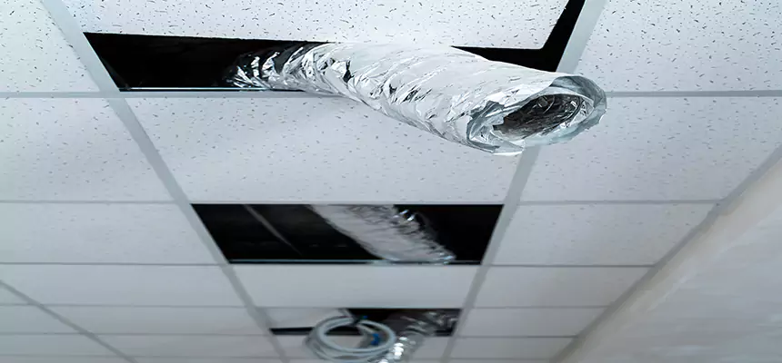 Our Air Duct Pet Hair Removal Services in Cooper City, FL