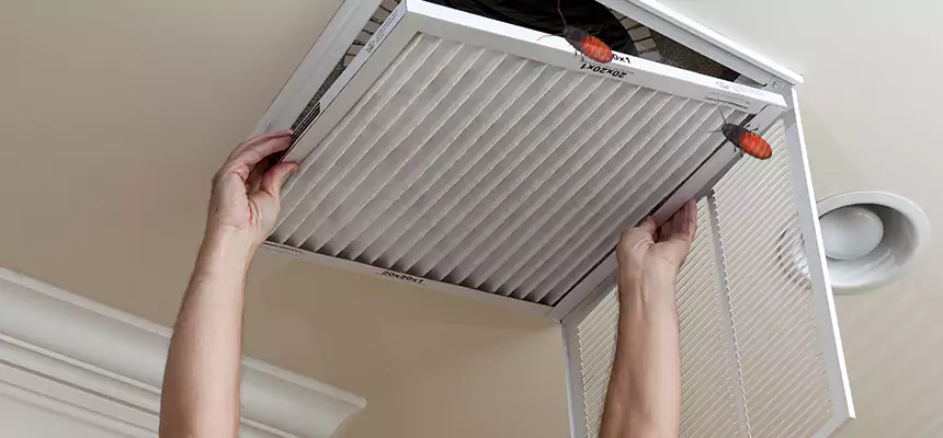 Our Insect Removal from Air Ducts Services in Cooper City, FL