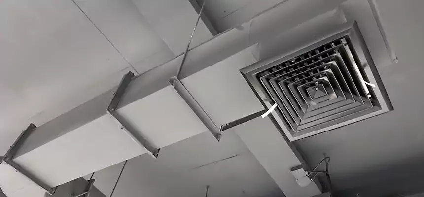 Our Pest Removal From Ducts Services in Cooper City, FL