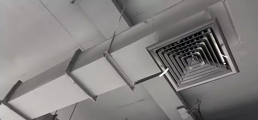 Our Rodent Droppings In Vents Services in Cooper City, FL