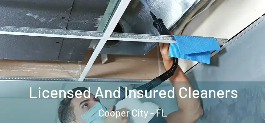  Licensed And Insured Cleaners Cooper City - FL