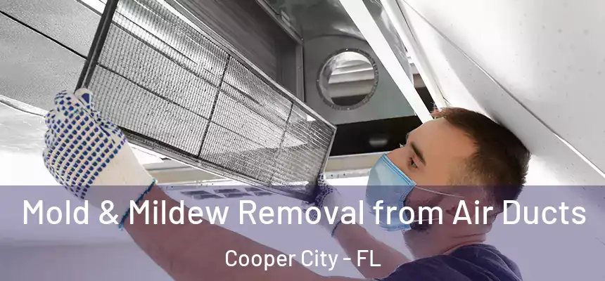  Mold & Mildew Removal from Air Ducts Cooper City - FL