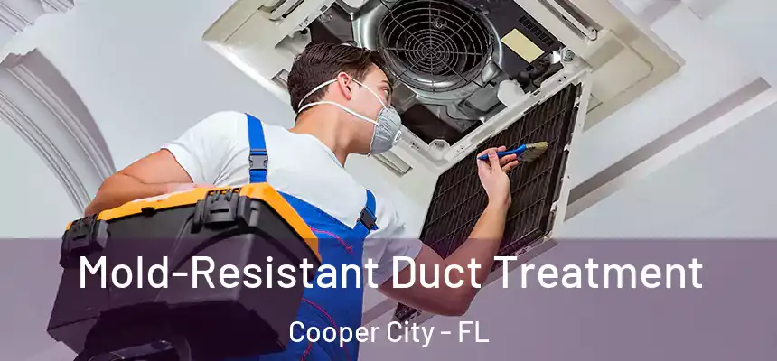  Mold-Resistant Duct Treatment Cooper City - FL