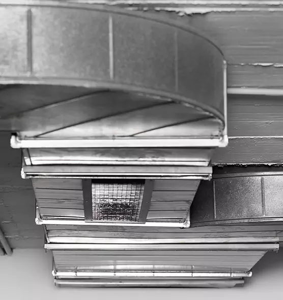 Professional Air Duct Pest Removal in Cooper City, FL