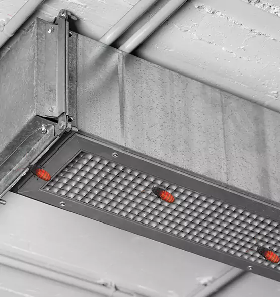 Affordable Insect Removal from Air Ducts in Cooper City, FL