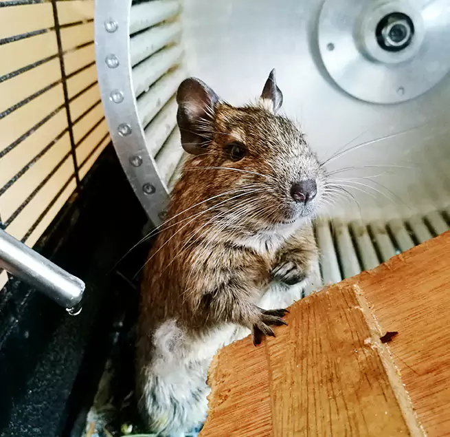 Why Homeowners & Businesses Trust Us Cooper City, FL