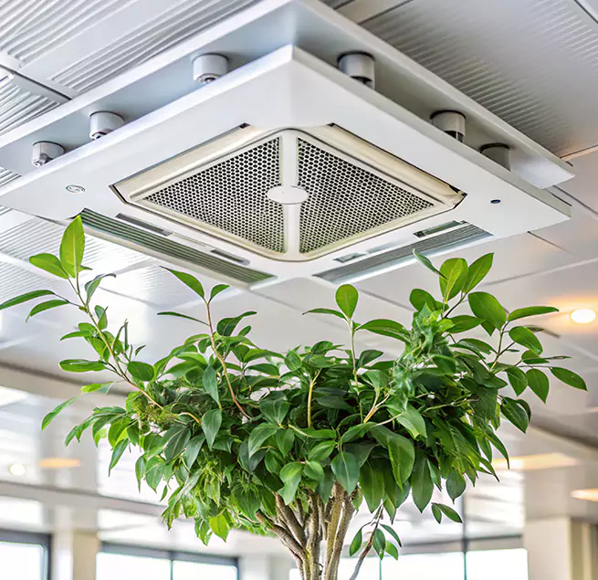 Why Homeowners & Businesses Trust Us in Cooper City, FL?