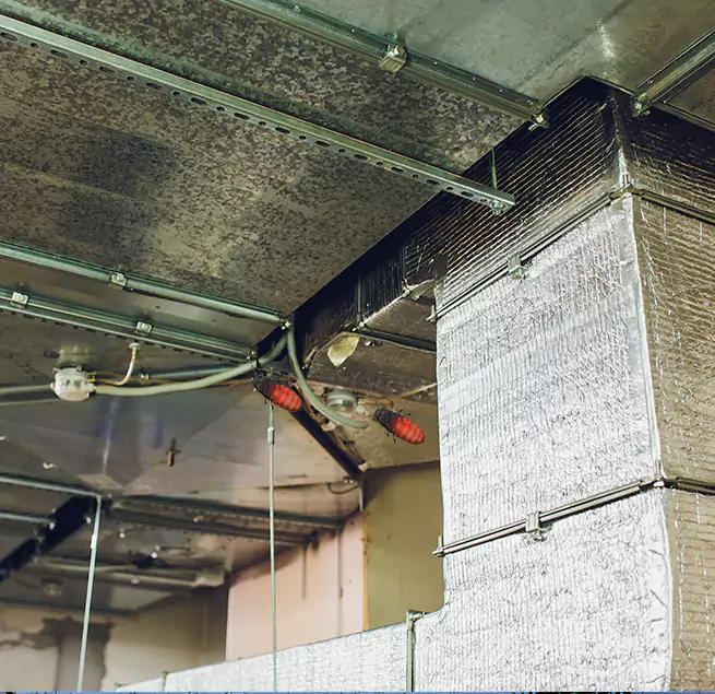 Why Homeowners & Businesses Trust Us Cooper City, FL?