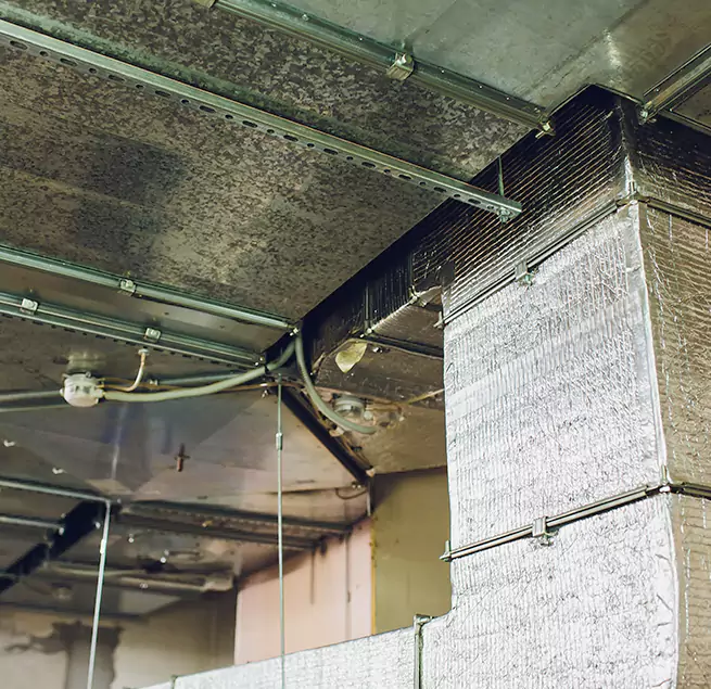 Why Homeowners & Businesses Trust Us in Cooper City, FL?